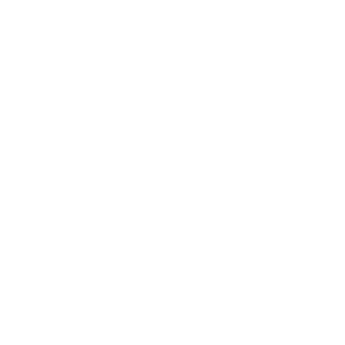 Next Level Financial Logo