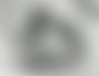 1965-1966 Peel Trident