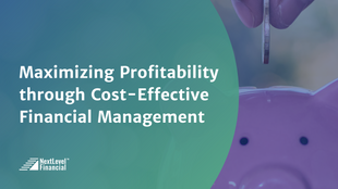 Maximizing Profitability through Cost-Effective Financial Management