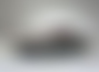 1982 Ford Mustang Topaz by Ghia