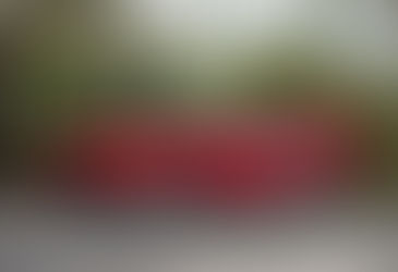 1969-1970 Murena 429 GT by Intermeccanica