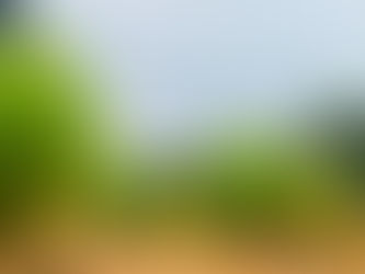 "당신의 꿈 속 어둠은, 어쩌면 오래된 외로움의 초대일지도 몰라요"-게슈탈트 심리치료