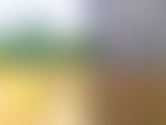 “당신은 바위가 되고 싶은 적 있나요?”-게슈탈트 심리치료