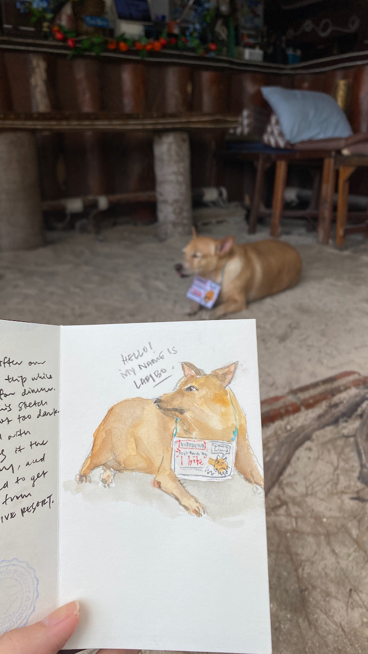 Lambo, the cafe dog in Koh Lipe