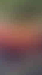 Lavori presso la Scuola Elementare di Via San Gavino