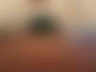 Barrali: installazione impianto volley e porte da pallamano per campo sportivo polivalente