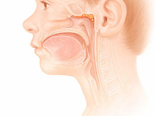 Adenoidectomia in età pediatrica: razionale fisiopatologico, tecnica chirurgica e decorso post-operatorio