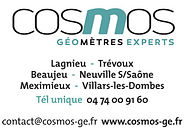 logo cosmos.jpeg