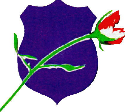 sfd