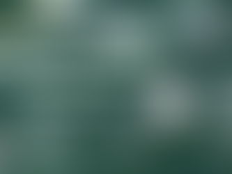 💎 มูลค่าทางเศรษฐกิจของเพชรแท้ "ธรรมชาติ" ความงามที่มากกว่าเครื่องประดับ ในตลาดโลก