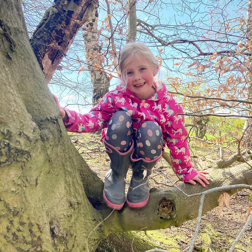 Children's Creative Woodland Retreat Day