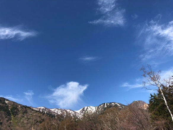 金週