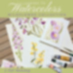 Intro to watercolor - Wildflower Collection