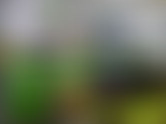 중고폰 전문 ‘에코폰’, “중고폰 구매 시 개통 이력 및 분실폰 여부 확인해야” 선불폰팝니다 심상사로 문의주세요