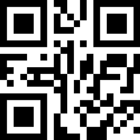 qr-code phone.png