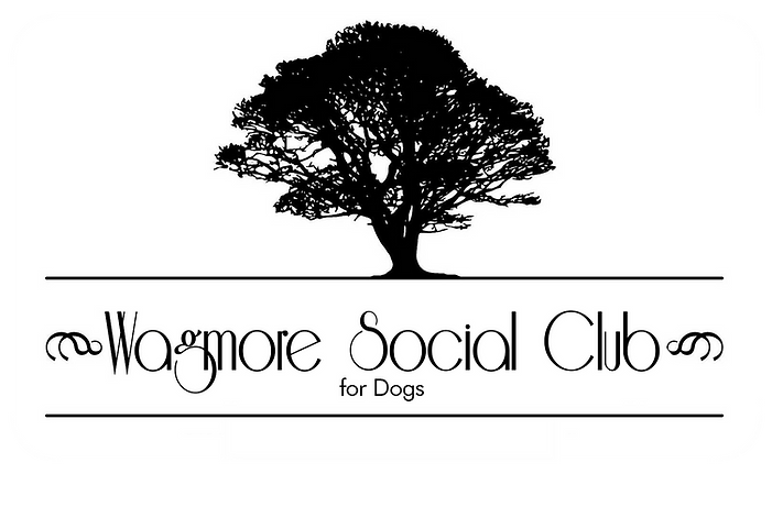 Wagmore sc no address.tif