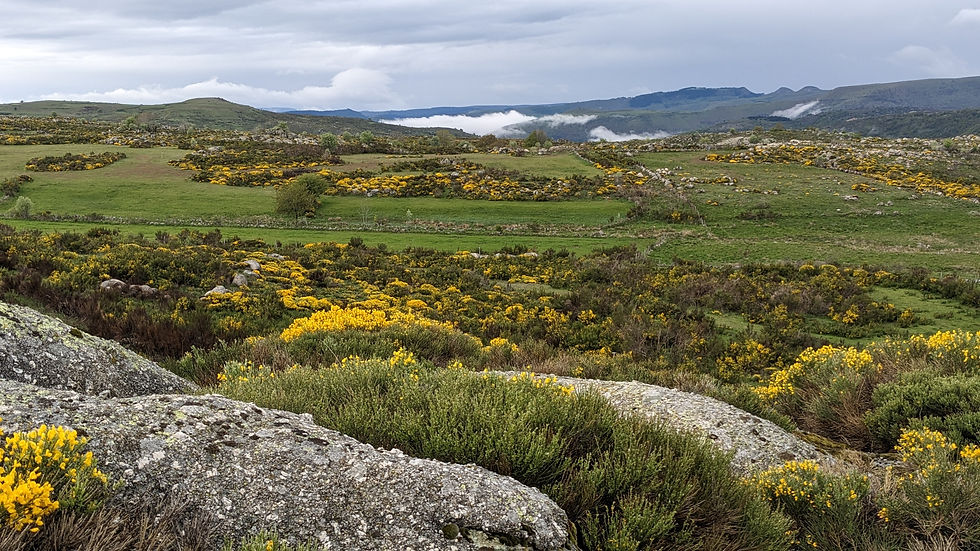 PXL_20230513_071311774