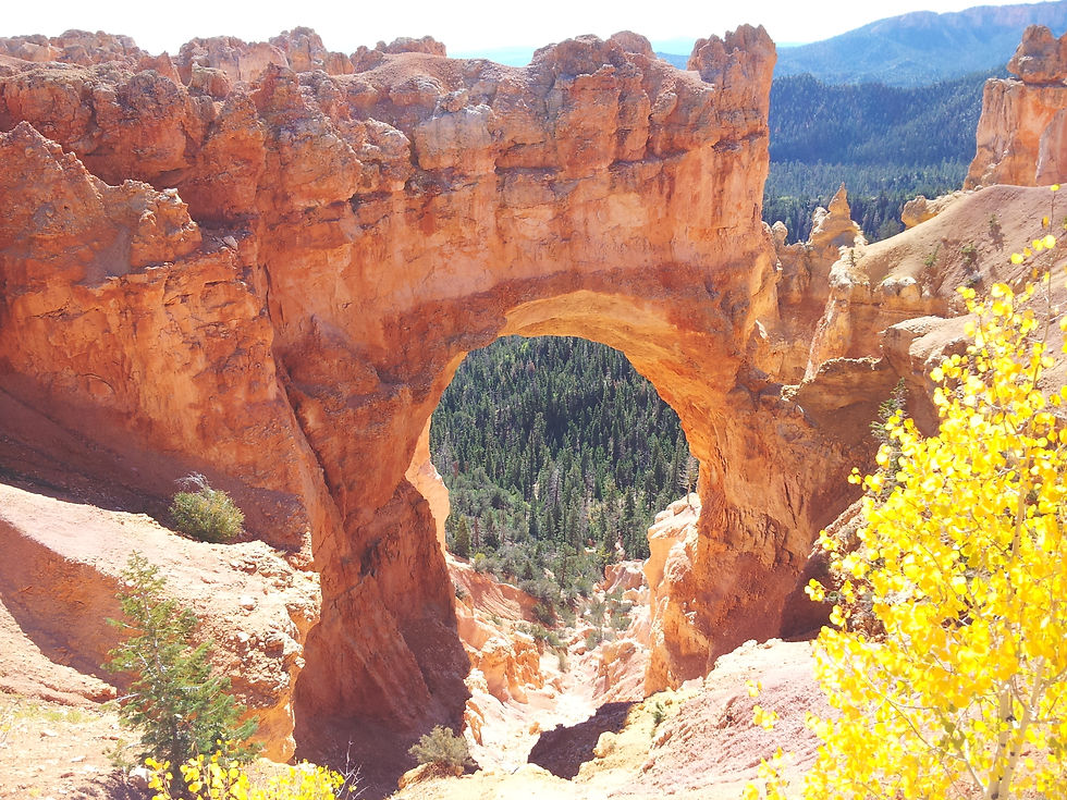 sss2014-09-30 11.00.45.jpg