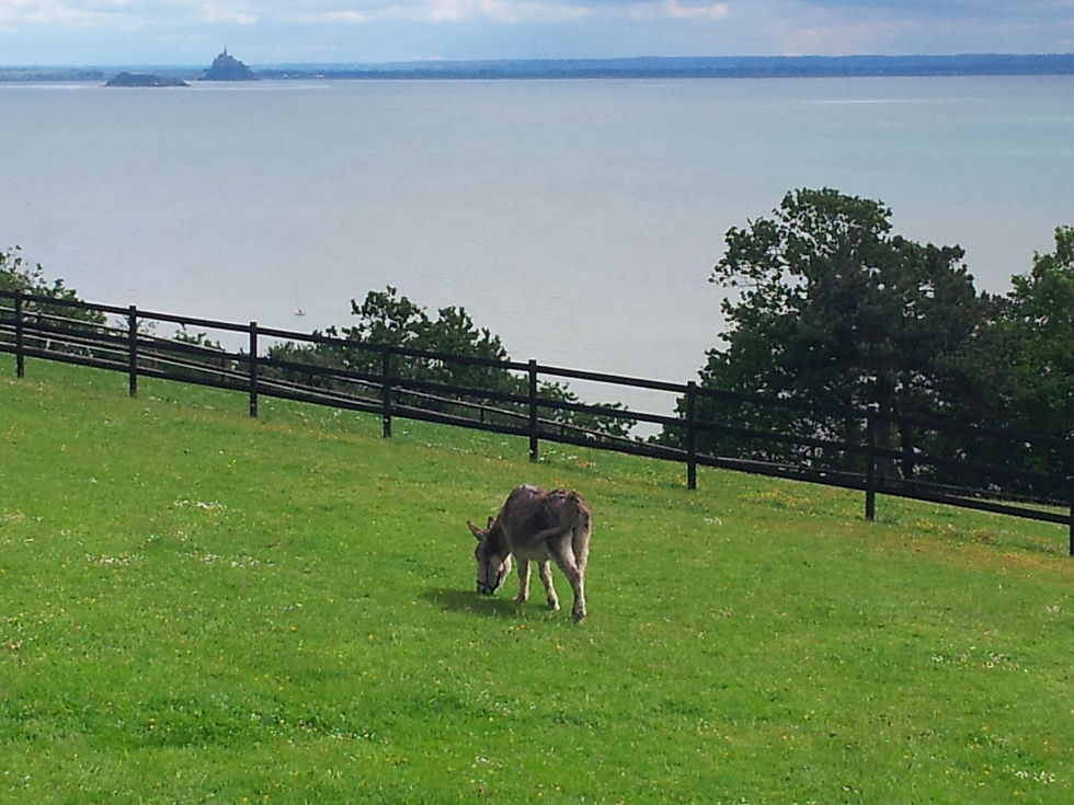 2014-05-23 17.01.59.jpg