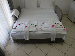 sofa-bed