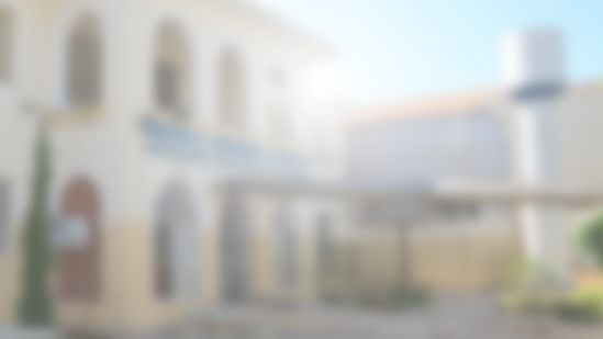 Bolsas de estudos (2).png