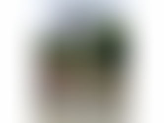 PEM Friends attends the 104th annual meeting of the British Association of Dermatologists which was held in Manchester