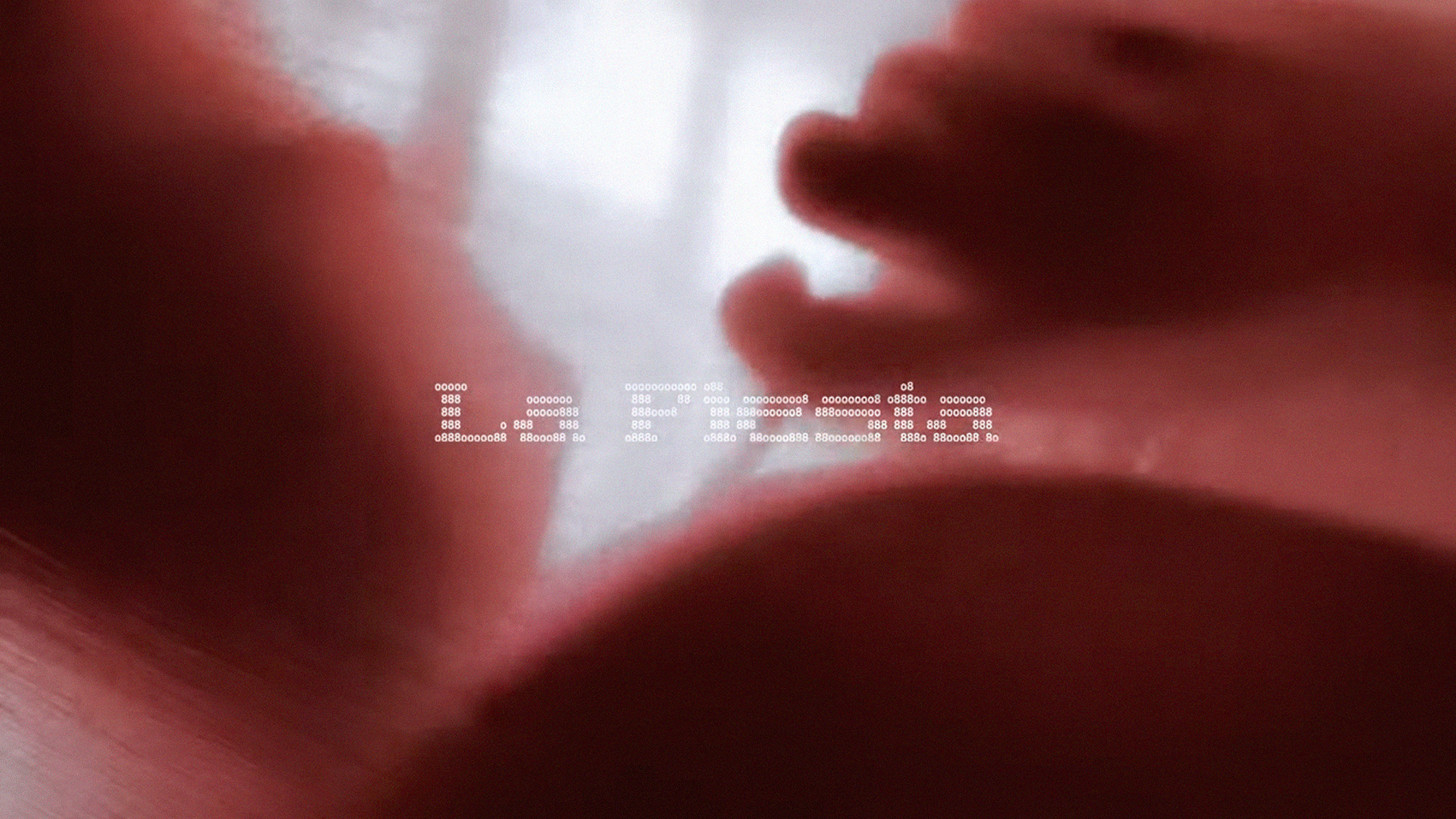 LA-FIESTA1.gif