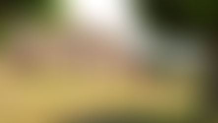 (REF 0144ES) ROCA DE MALVET, SANTA CRISTINA D'ARO: A CHARMING RENOVATED COUNTRY HOUSE WITH SPACIOUS GROUNDS.