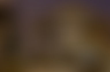 LUXURY CHALET FRENCH ALPS, MEGEVE