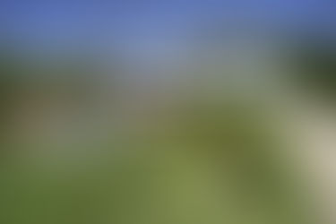 (REF 0439FR) VILLA IN MOUGINS PROVENCE (FRANCE).