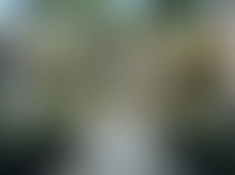 MANOR IN MALLORCA (SPAIN)