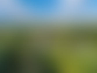 (REF 0928UK) THE COUNTRY HOUSE OF JANE AUSTEN FOR SALE IN HAMPSHIRE.