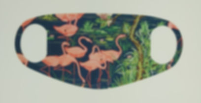 Archive Facemask Flamingo's