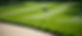 Home-Welcome-1.jpg