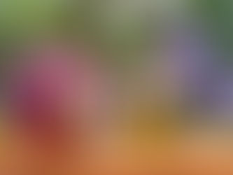 Agua Florida: usos ceremoniales y cómo prepararla en casa