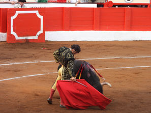 22 Derechazo de Morante en Santander_ (002).JPG