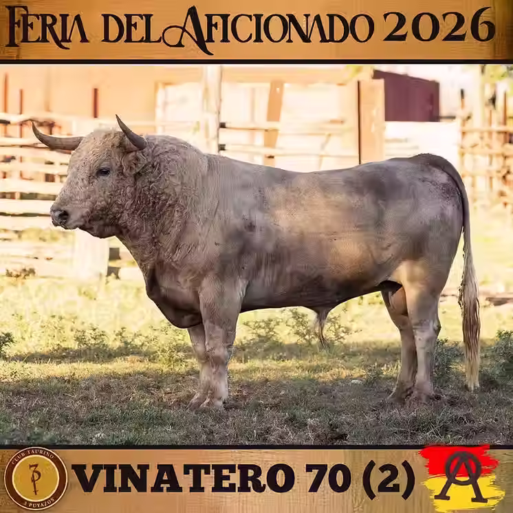 May 2026 Newsletter