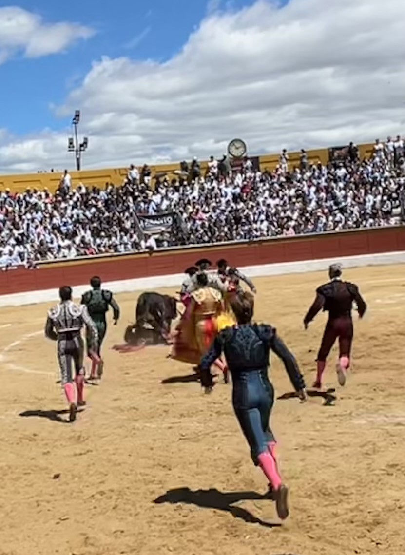 12- Run for his life