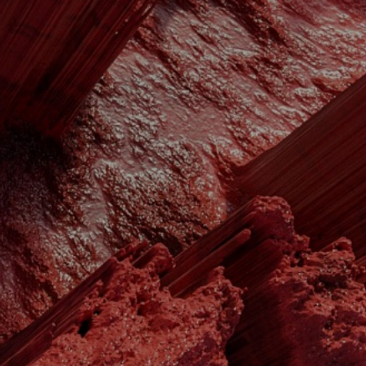 Ekran Resmi 2024-01-29 14.02.52.png