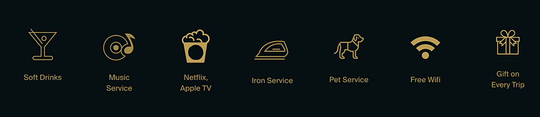 Soft Drinks Music Service Netflix, Apple TV Iron Service Pet Service Free Wifi Gift on Eve