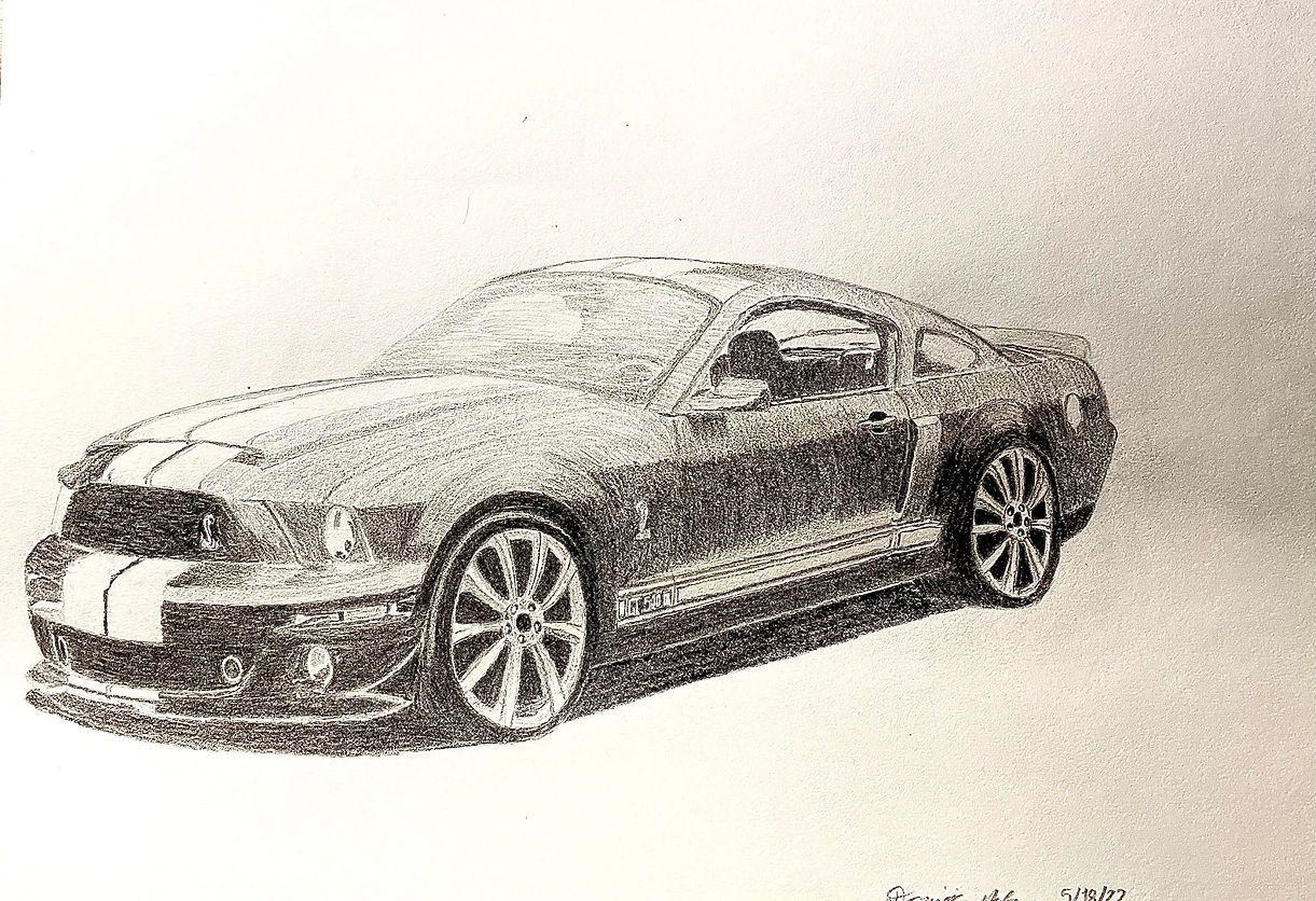 Ford Shelby GT500.jpg