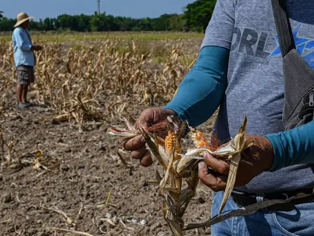 El Niño’s Effects on Climate Change in South East Asia