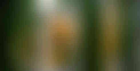 Jardines elegantes para boda en finca exclusiva del norte Madrid