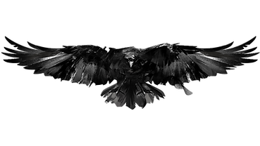 Raven Transparent.png