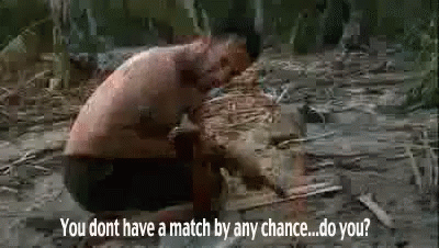wilson-volleyball.gif