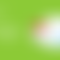 Promote Your Subscription Button: Strategies for More Clicks
