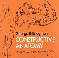 Bridgeman's Constructive Anatomy