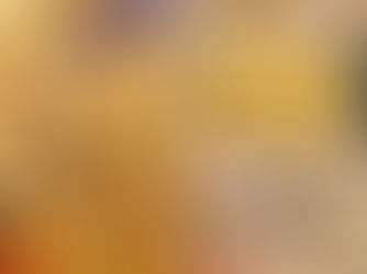 Schüttelpizza, für Figurbewusste mit viel Eiweiß, Low Carb, Diät tauglich und sehr lecker....