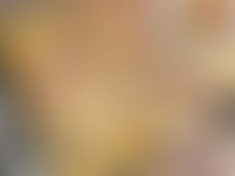 Zwiebelschnitzel a´la bella superfein...