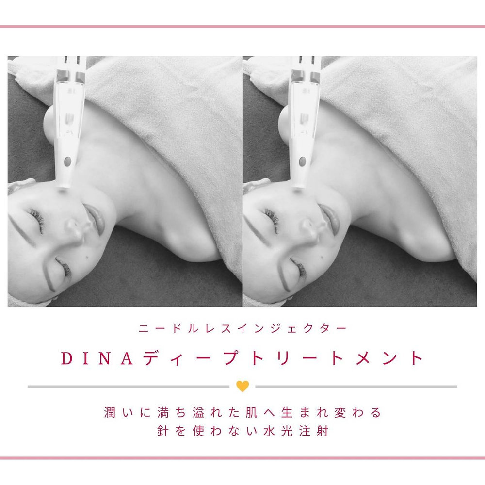 DiNa ニードルレス エアインジェクター - 事務/店舗用品 DiNa ニードルレス エアインジェクター - 事務/店舗用品